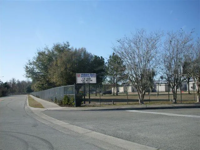 a view of a park that has a large tree