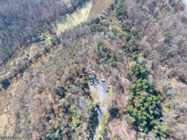 a close up of a plant