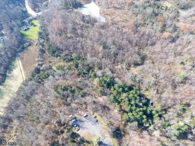 a view of a plants with a yard