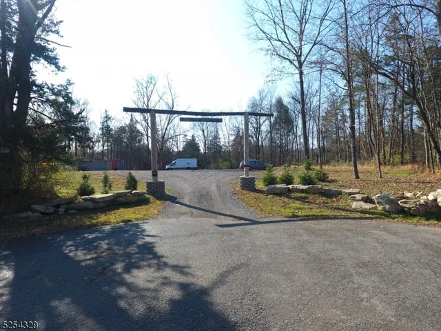 a view of a park with large trees