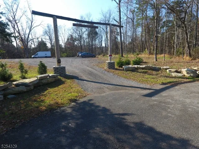 a view of a park with large trees
