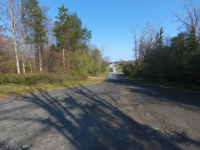 a view of a yard with large trees