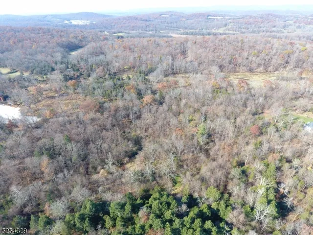 a view of a dry yard in middle of green field and trees