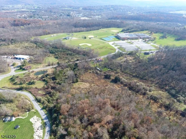 a view of a yard in a forest
