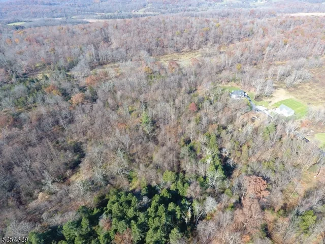 a view of a dry yard with green space