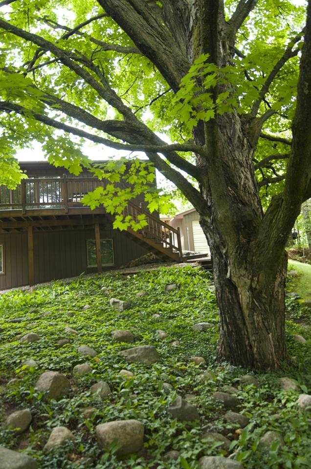 7485 Sparling Road Kingsley, MI 49649 - Photo 3 of 23 1793456-2.JPG