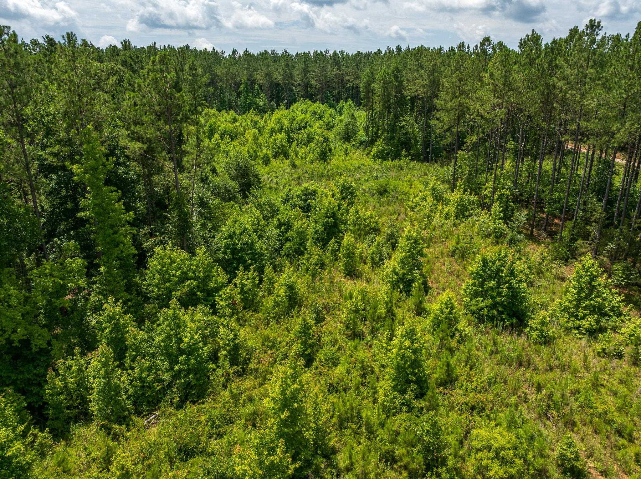 1 Quail Hollow Road Sharon, SC 29742 - Photo 8 of 27
