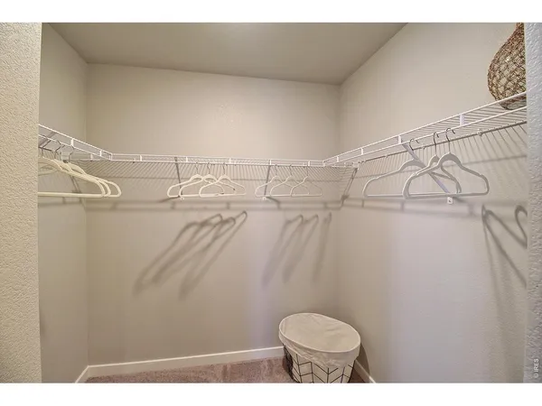 a bathroom with a shower curtain and a sink