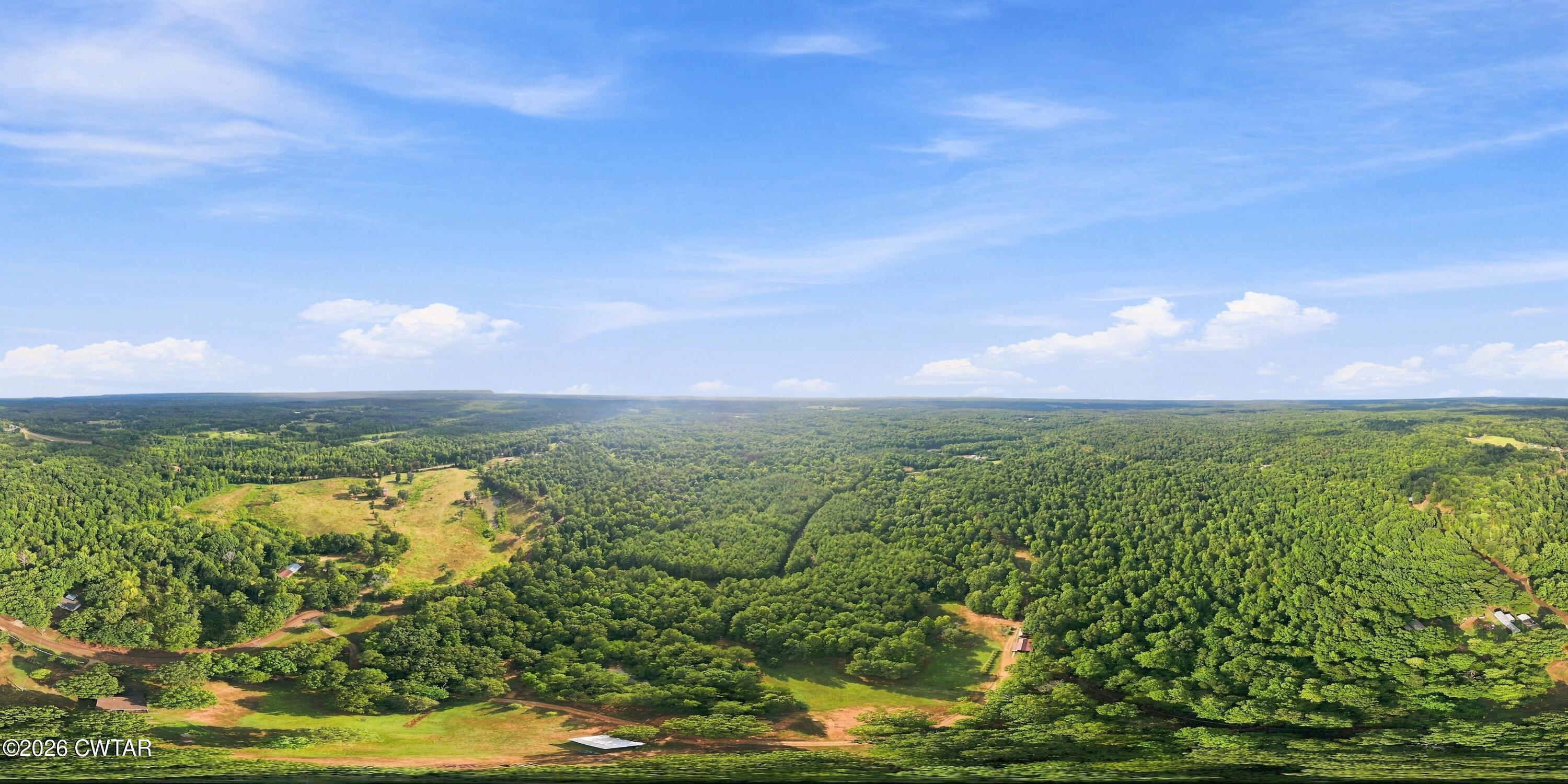 0 Pulliam Road Medon, TN 38356 - Photo 6 of 9 DJI_0790