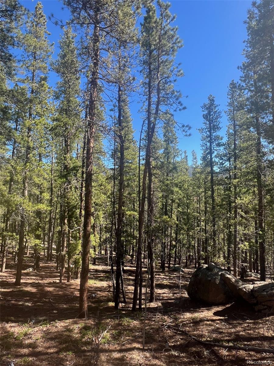 511 Lakeview Road Bailey, CO 80421 - Photo 9 of 10 a view of outdoor space and street view