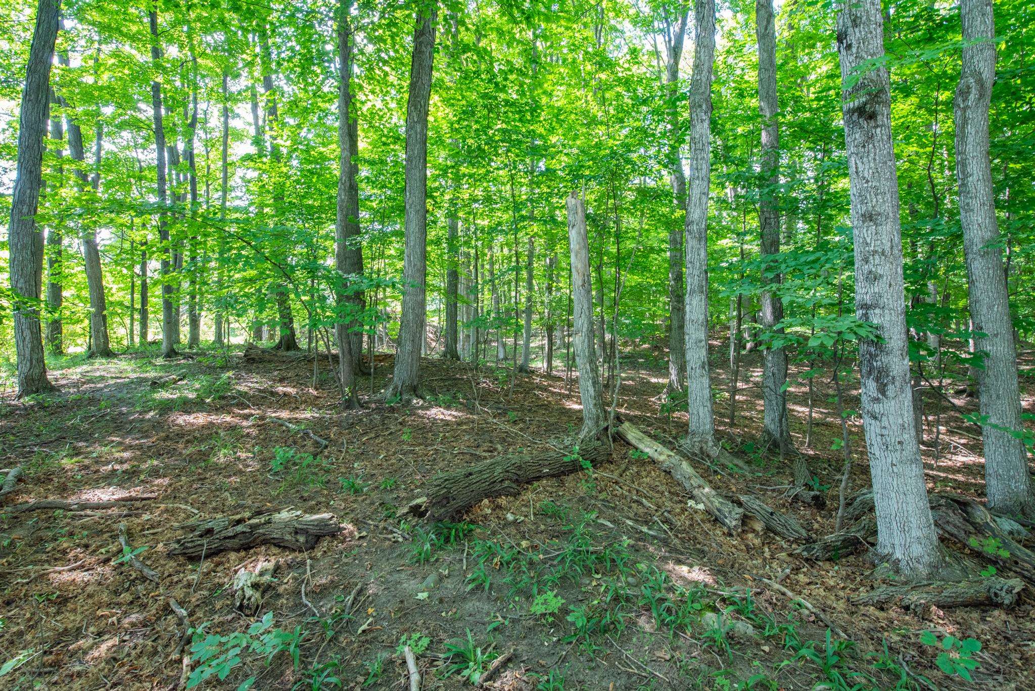 3300 Zimmerman Road Traverse City, MI 49685 - Photo 9 of 36