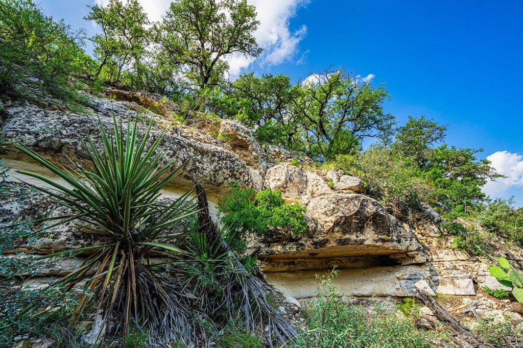 Lot 33 Spring Bluff Junction Junction, TX 76849 - Photo 11 of 19 a view of a lake with a tree