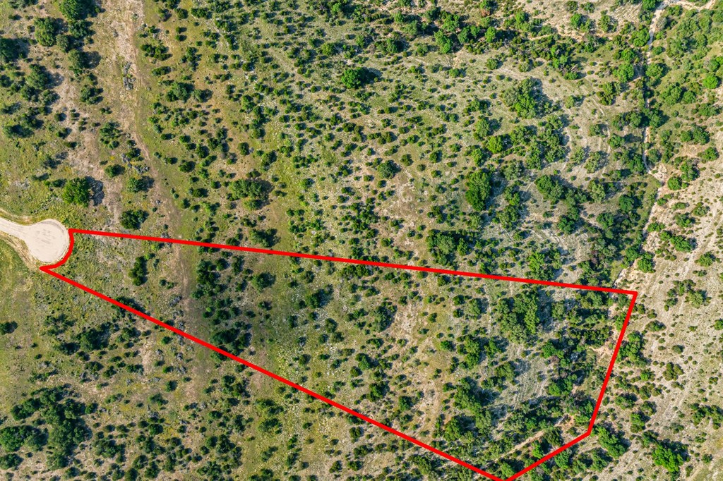 Lot 33 Spring Bluff Junction Junction, TX 76849 - Photo 17 of 19 a picture of flowers