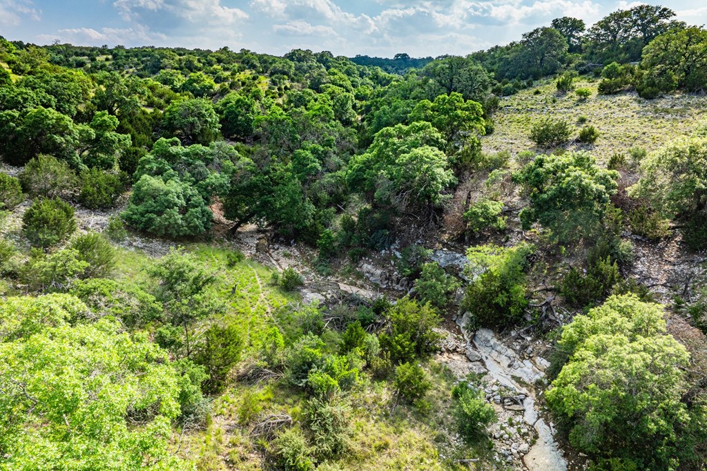 Lot 33 Spring Bluff Junction Junction, TX 76849 - Photo 2 of 19 a view of a garden with a plant