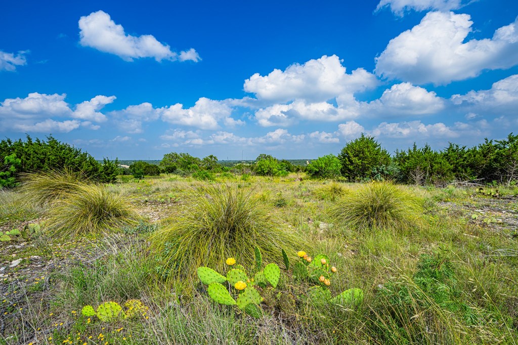 Lot 33 Spring Bluff Junction Junction, TX 76849 - Photo 4 of 19