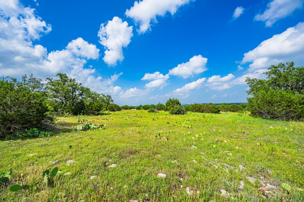 Lot 33 Spring Bluff Junction Junction, TX 76849 - Photo 5 of 19 a view of a flower in a yard