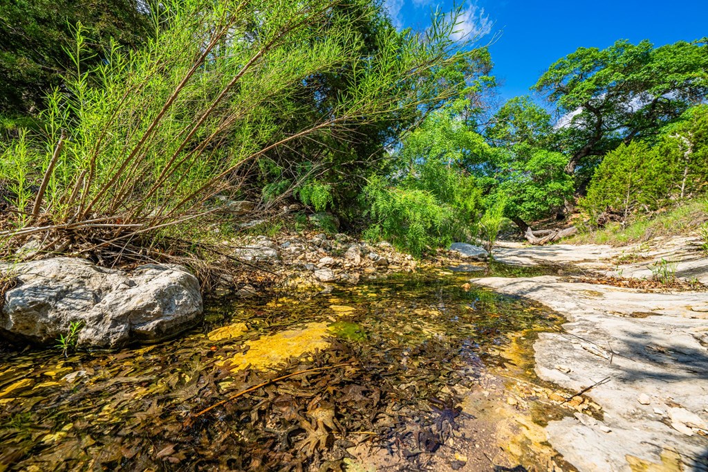 Lot 33 Spring Bluff Junction Junction, TX 76849 - Photo 9 of 19 a view of a yard with plants and large trees