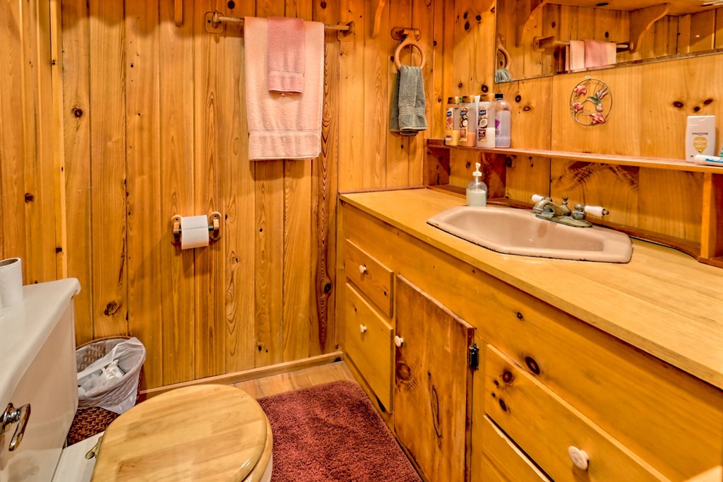 1137 Car Miles Road Hiawassee, GA 30546 - Photo 17 of 75