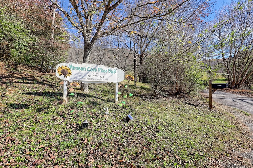 1137 Car Miles Road Hiawassee, GA 30546 - Photo 3 of 75