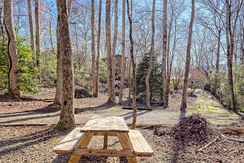 1137 Car Miles Road Hiawassee, GA 30546 - Photo 52 of 75