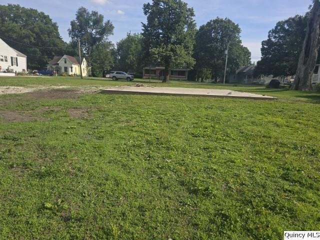 315 Cherry Street Carthage, IL 62321 - Photo 2 of 3