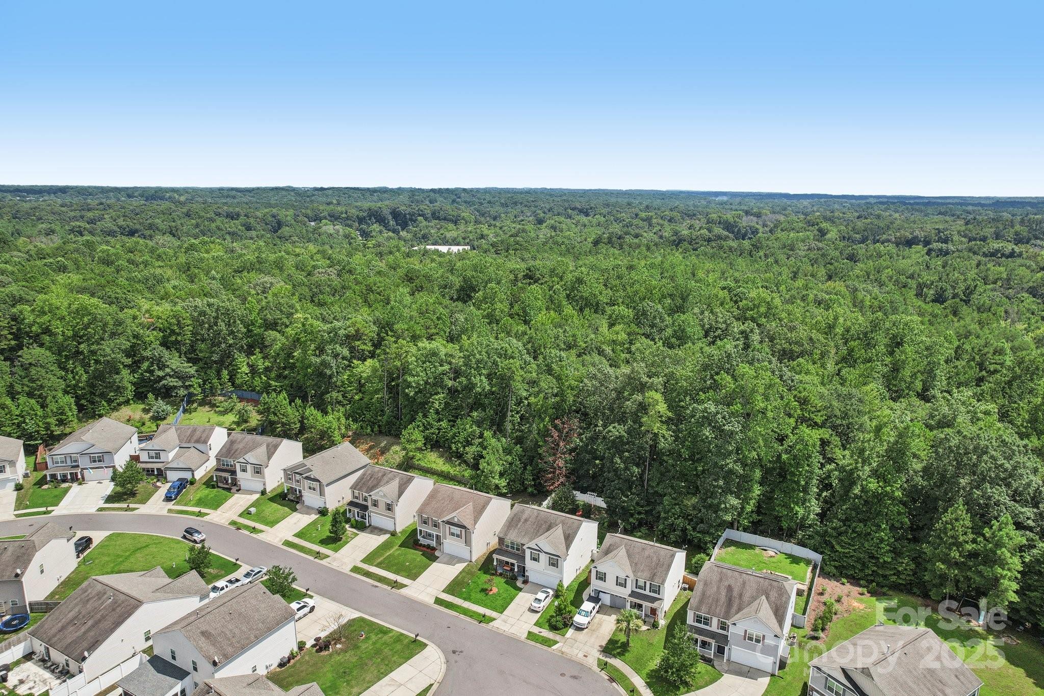 2289 Reid Pointe Avenue Indian Land, SC 29707 - Photo 39 of 39 view of city with tall trees