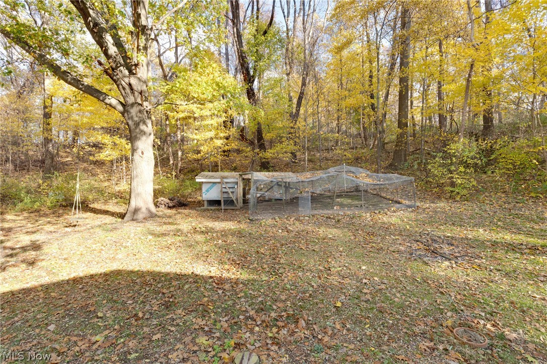 9416 Kieffer Road Mantua, OH 44255 - Photo 29 of 29 View of backyard featuring poultry coop