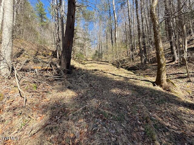 Tbd Spivey Mountain Road Erwin, TN 37650 - Photo 3 of 6 IMG_0971