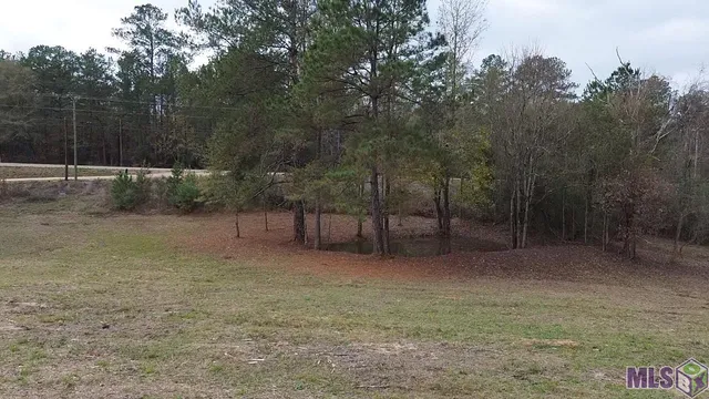 $45,000 | Tract A P Griffin Road, Kentwood, LA 70444