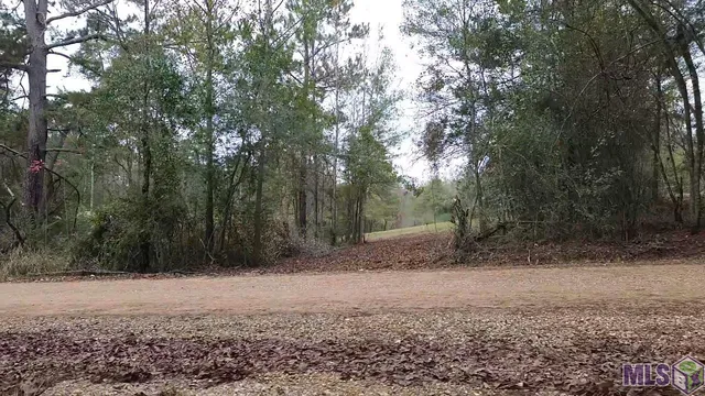 $45,000 | Tract A P Griffin Road, Kentwood, LA 70444