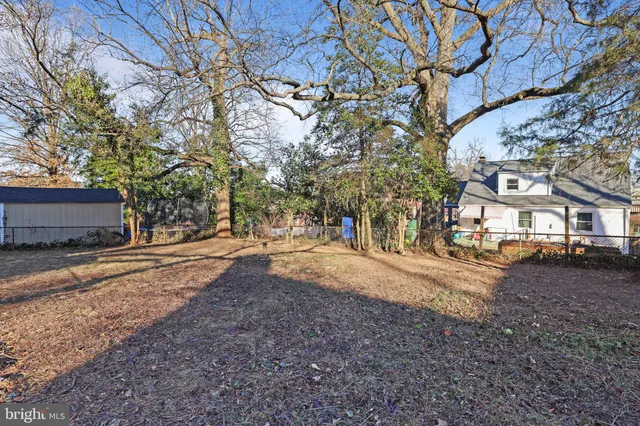 a view of a yard with a tree