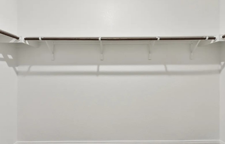 163 Pendleton Drive Kyle, TX 78640 - Photo 14 of 15 a close view of closet