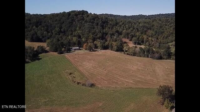213 Anderson Road Sweetwater, TN 37874 - Photo 21 of 30 Gallery Image 21