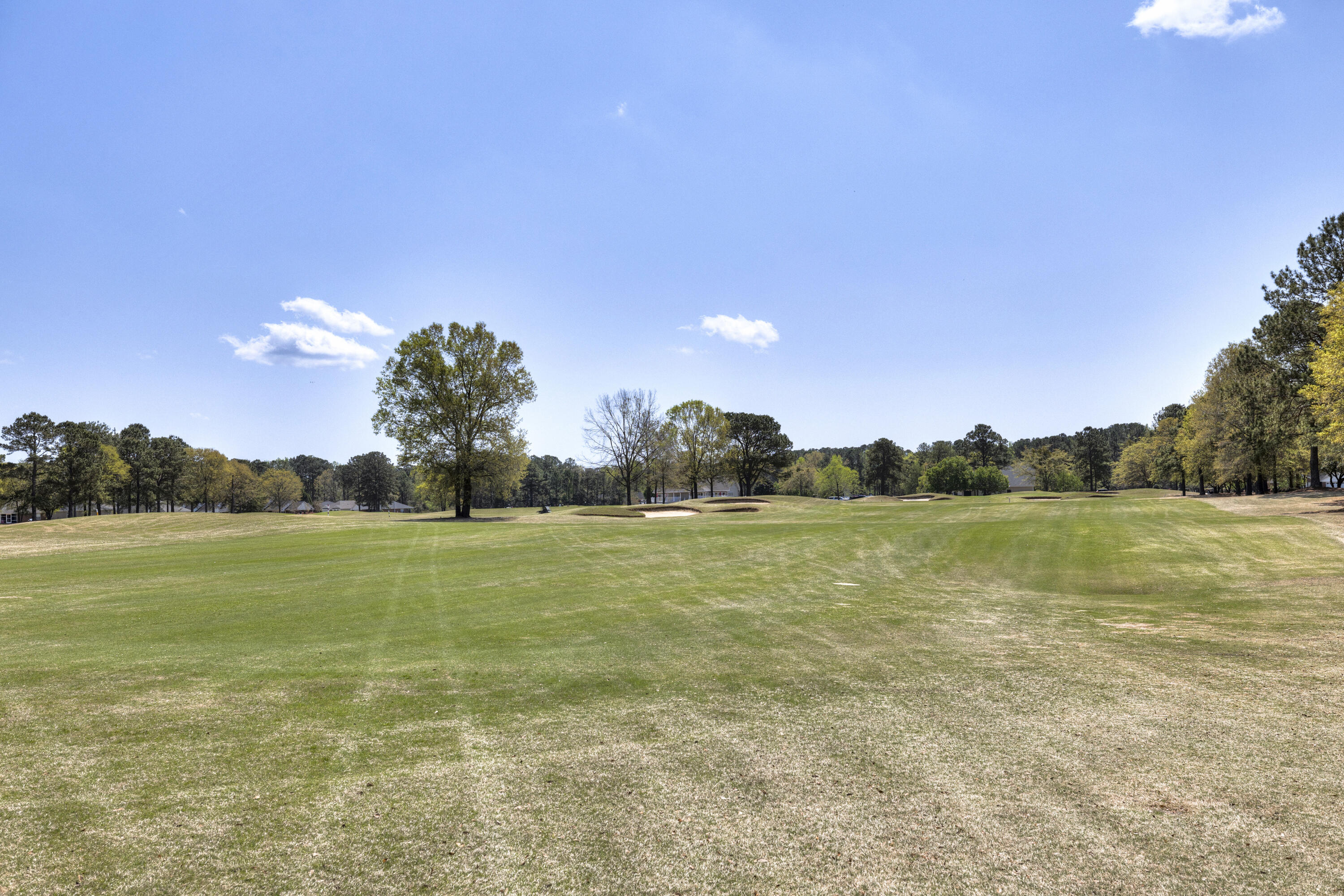 1268 Deercreek Drive Manning, SC 29102 - Photo 9 of 48 10