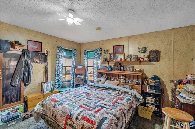 $185,000 | 20768 County Road 310, Advance, MO 63730