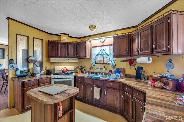 $185,000 | 20768 County Road 310, Advance, MO 63730