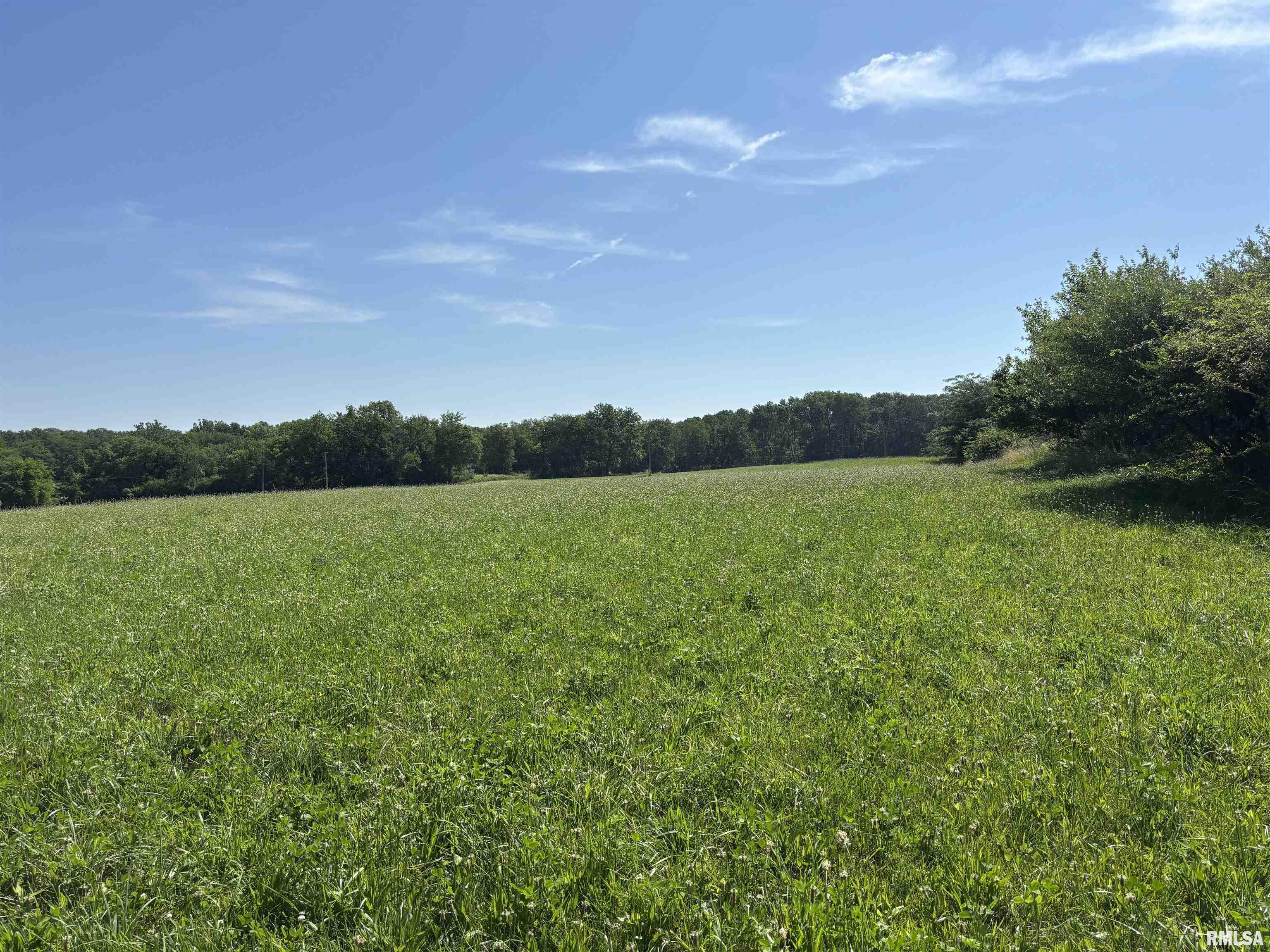 0 County Road 1300 Road East Lacon, IL 61540 - Photo 2 of 4