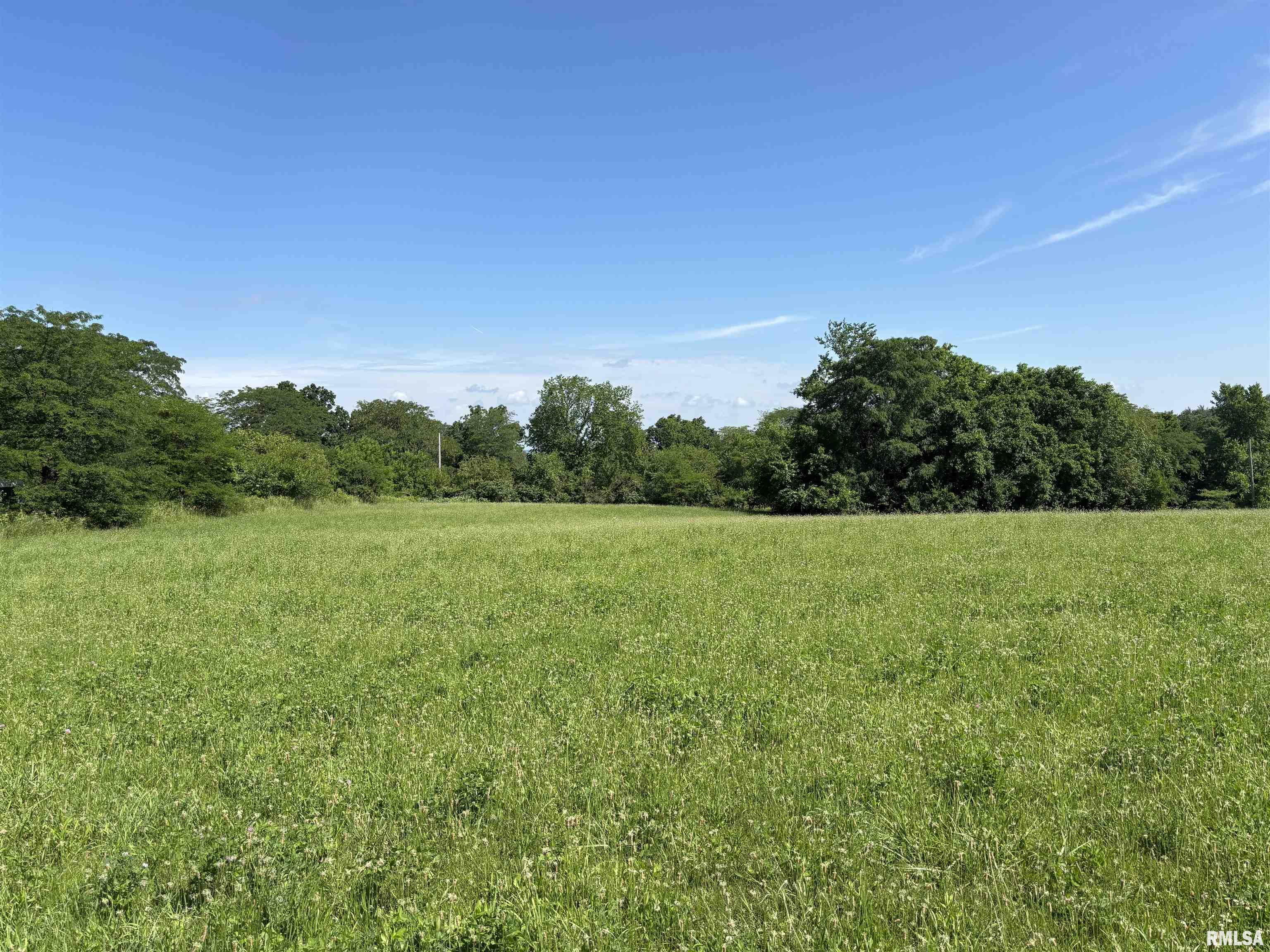 0 County Road 1300 Road East Lacon, IL 61540 - Photo 3 of 4