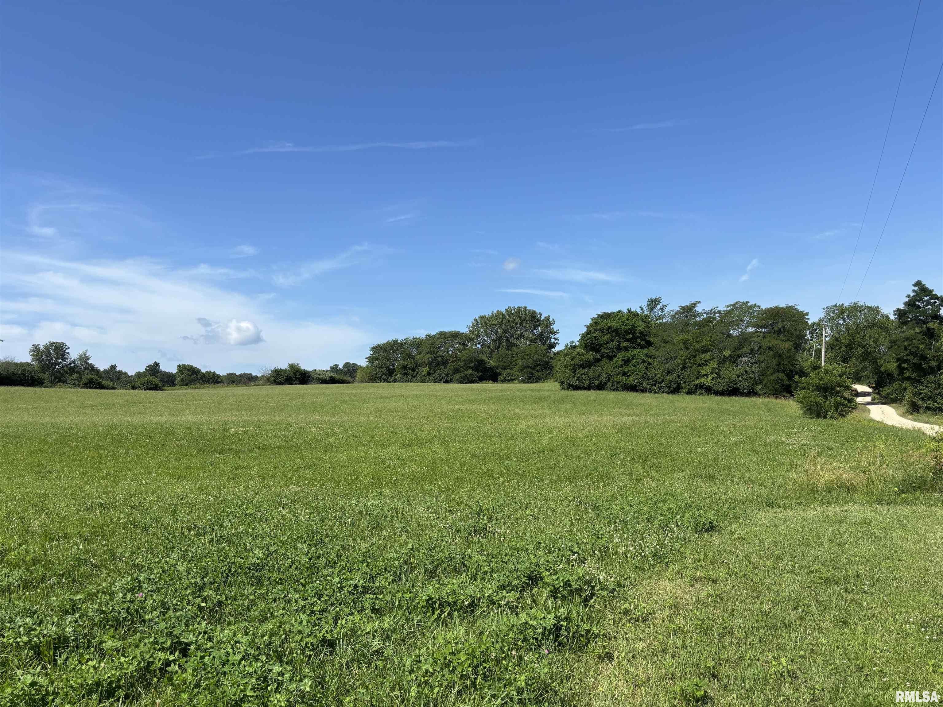 0 County Road 1300 Road East Lacon, IL 61540 - Photo 4 of 4