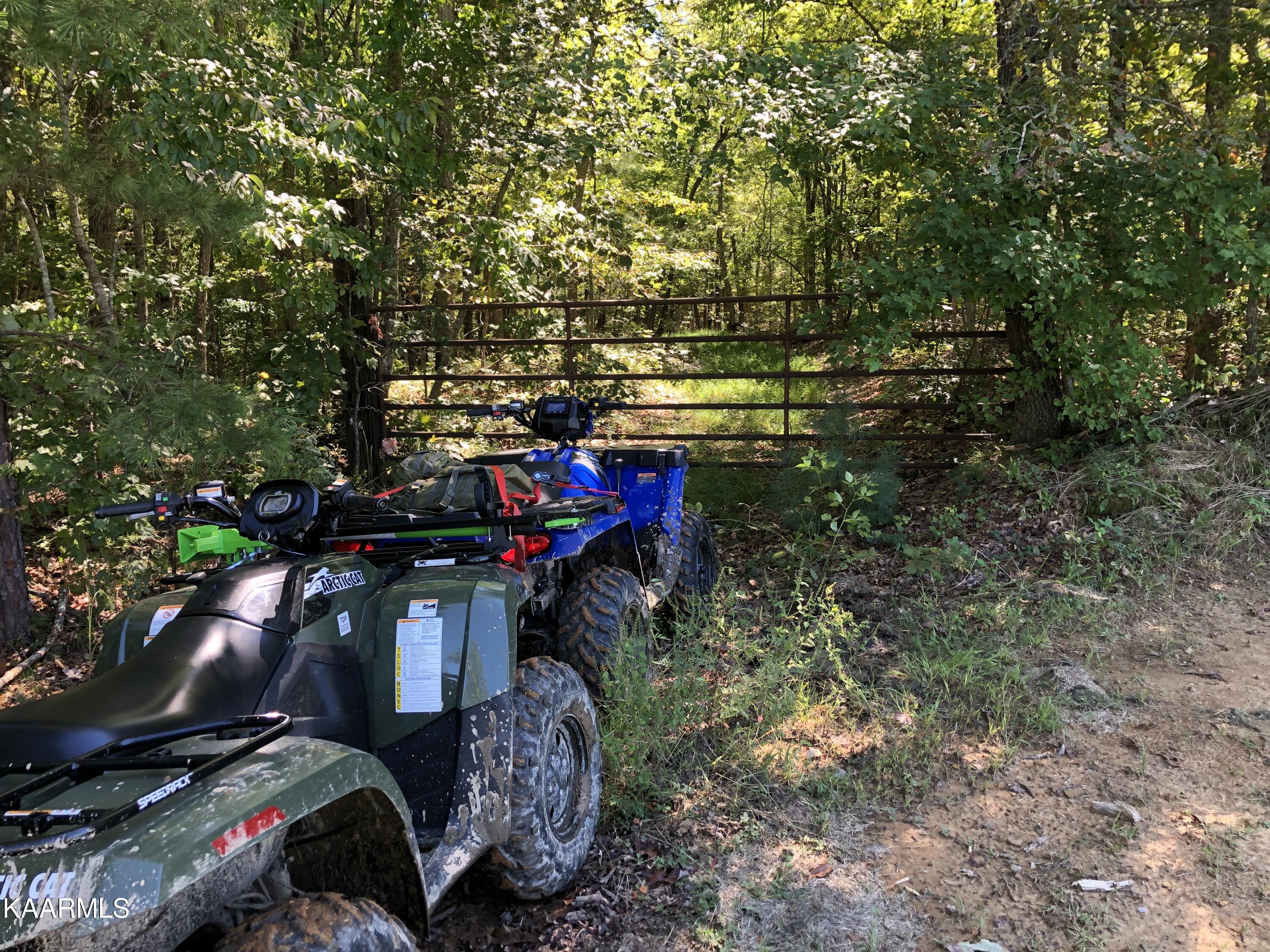 435-acres Anthony Road Deer Lodge, TN 37726 - Photo 5 of 5 Take a Ride