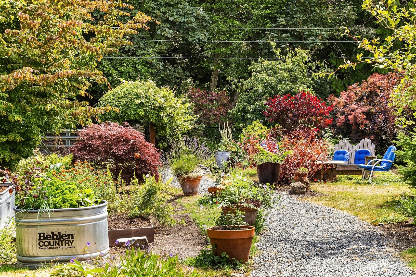 6346 South Bay Road Freeland, WA 98249 - Photo 39 of 40 a view of a backyard with plants and flowers