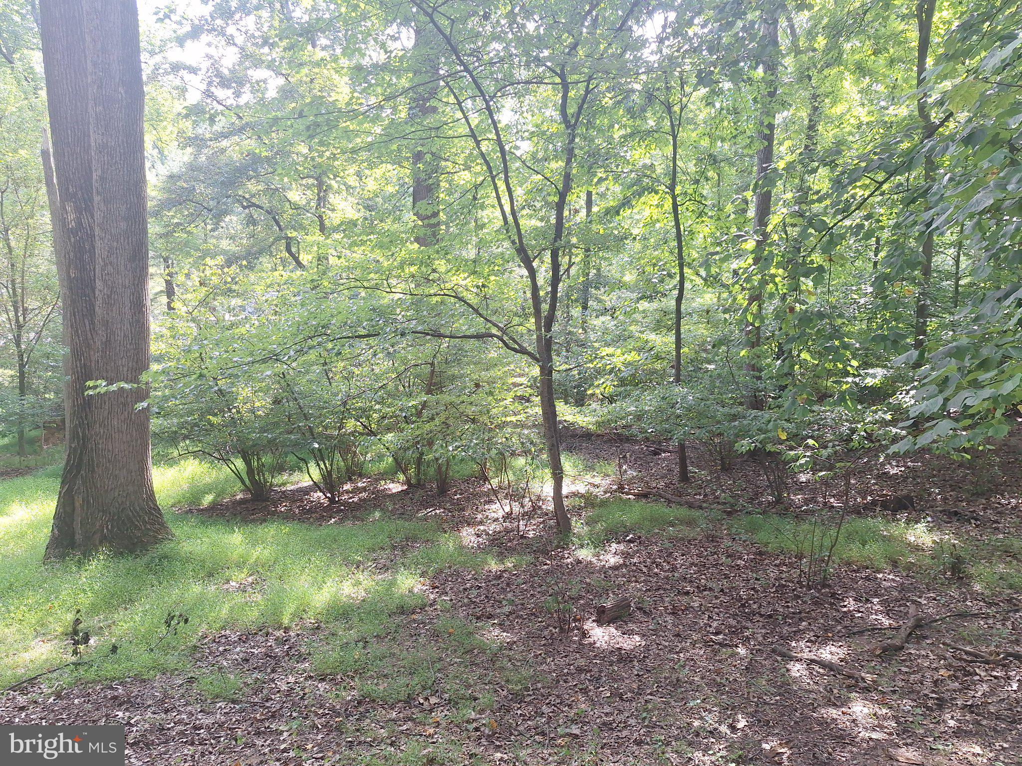 11412 Marbrook Road Owings Mills, MD 21117 - Photo 33 of 42 Corner lot full of mature majestic trees