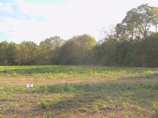 2.81-ac Sage Road Ashford, AL 36312 - Photo 1 of 1