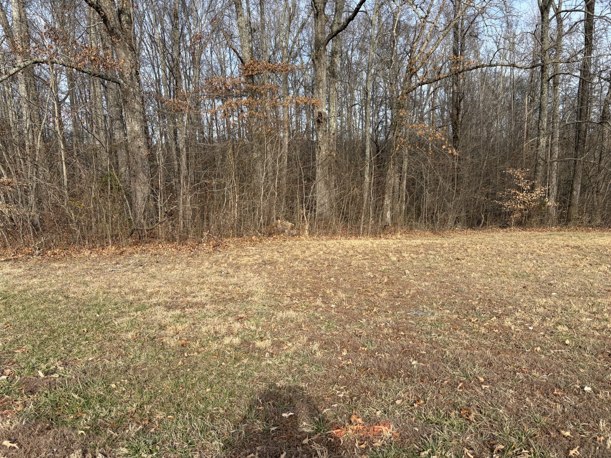 0 Hunters Landing Drive Manchester, TN 37355 - Photo 2 of 7