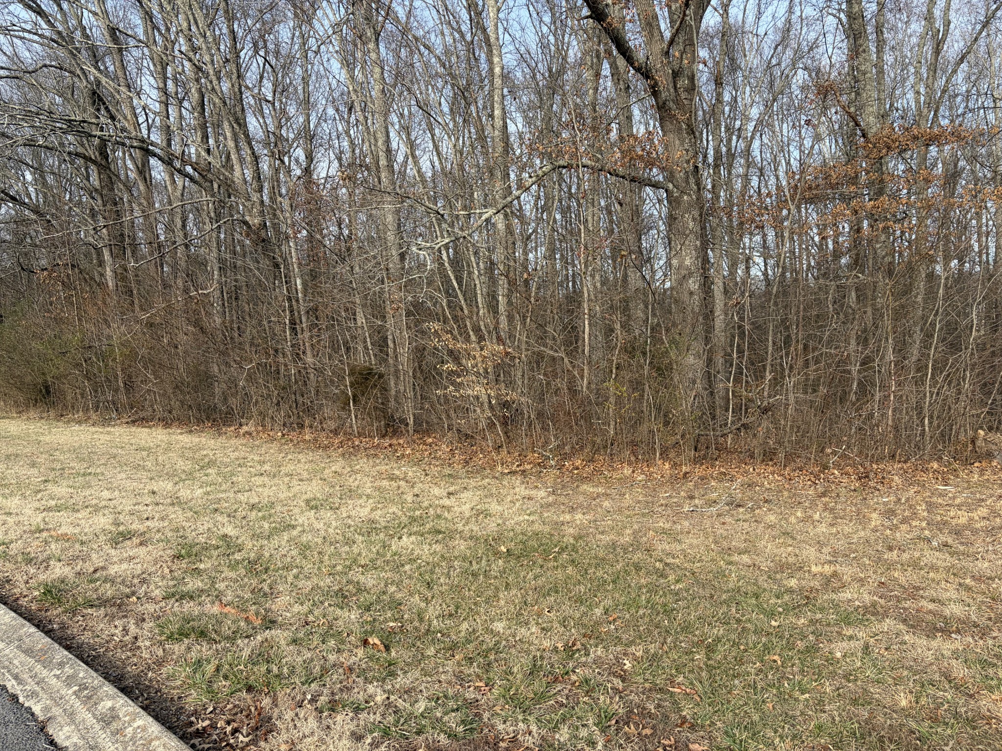 0 Hunters Landing Drive Manchester, TN 37355 - Photo 4 of 7