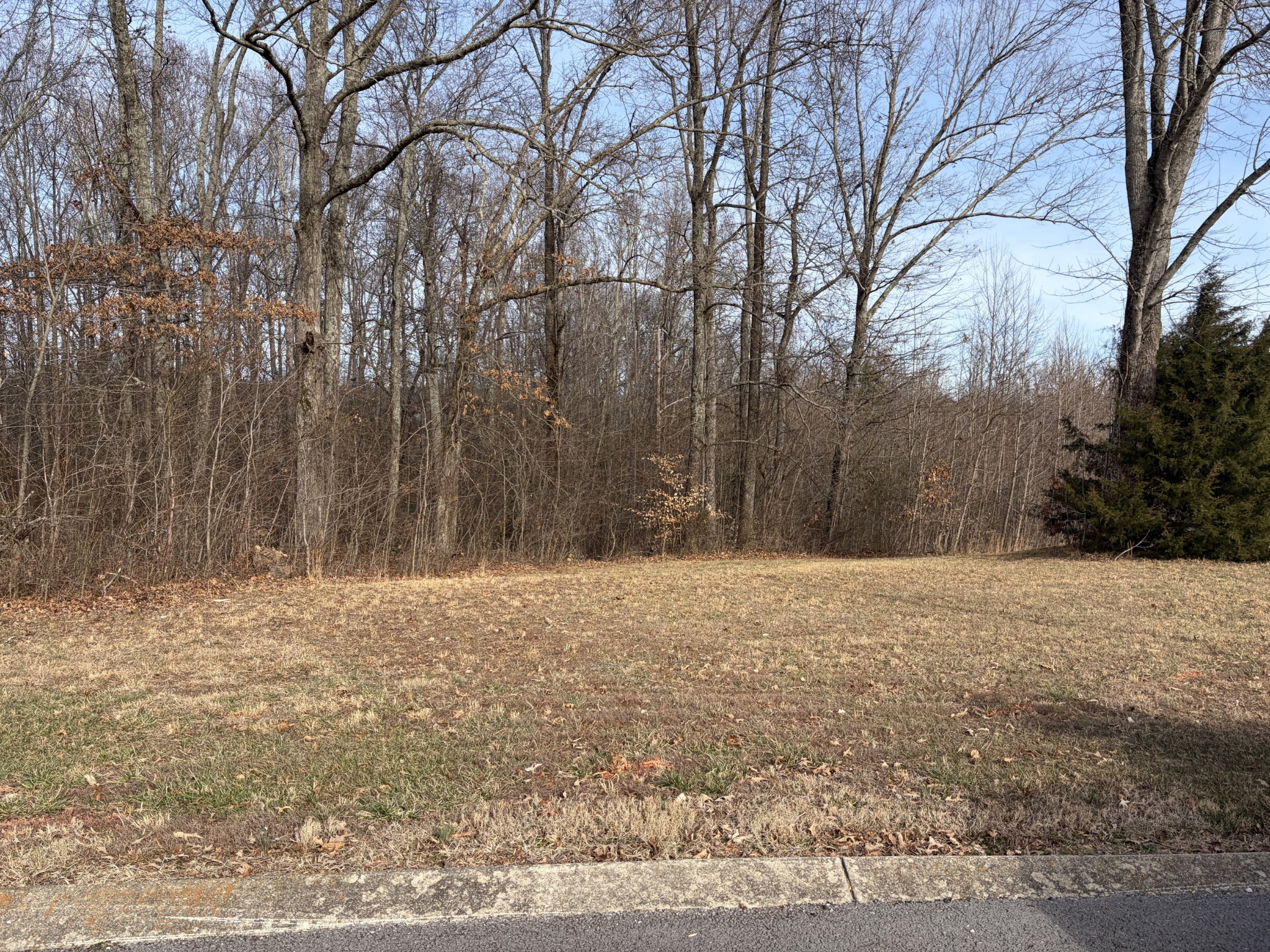 0 Hunters Landing Drive Manchester, TN 37355 - Photo 5 of 7