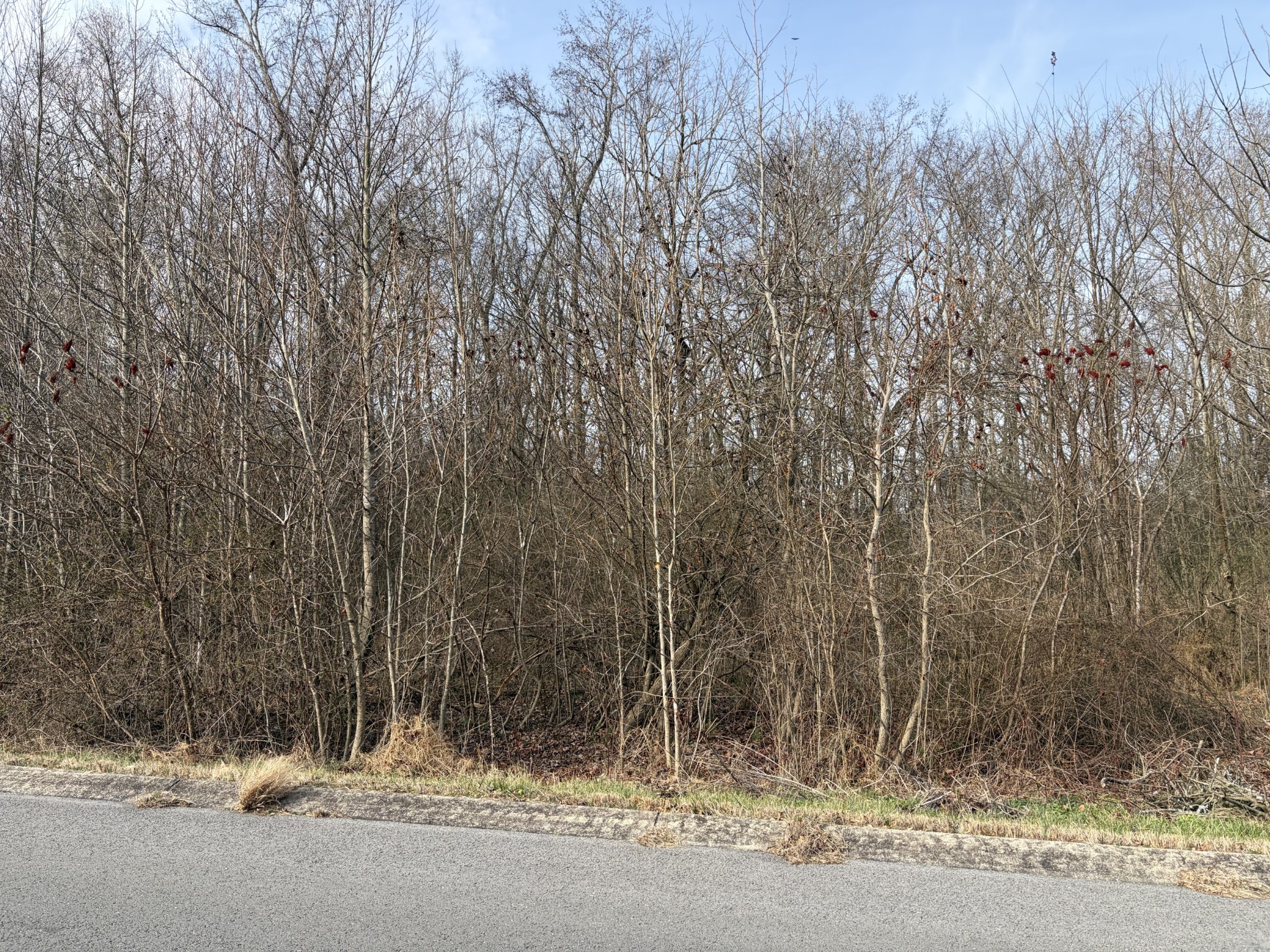 0 Hunters Landing Drive Manchester, TN 37355 - Photo 6 of 7