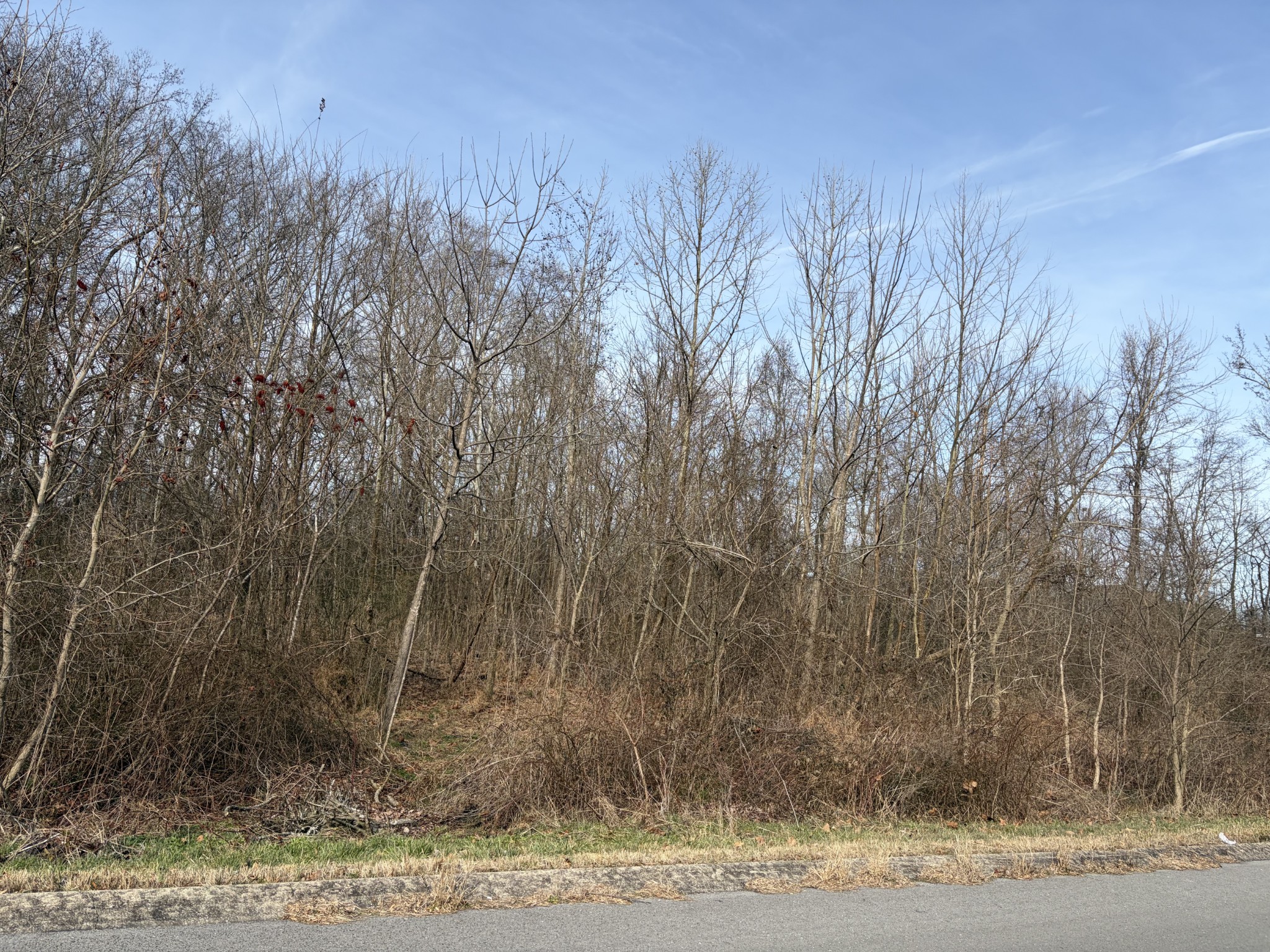 0 Hunters Landing Drive Manchester, TN 37355 - Photo 7 of 7