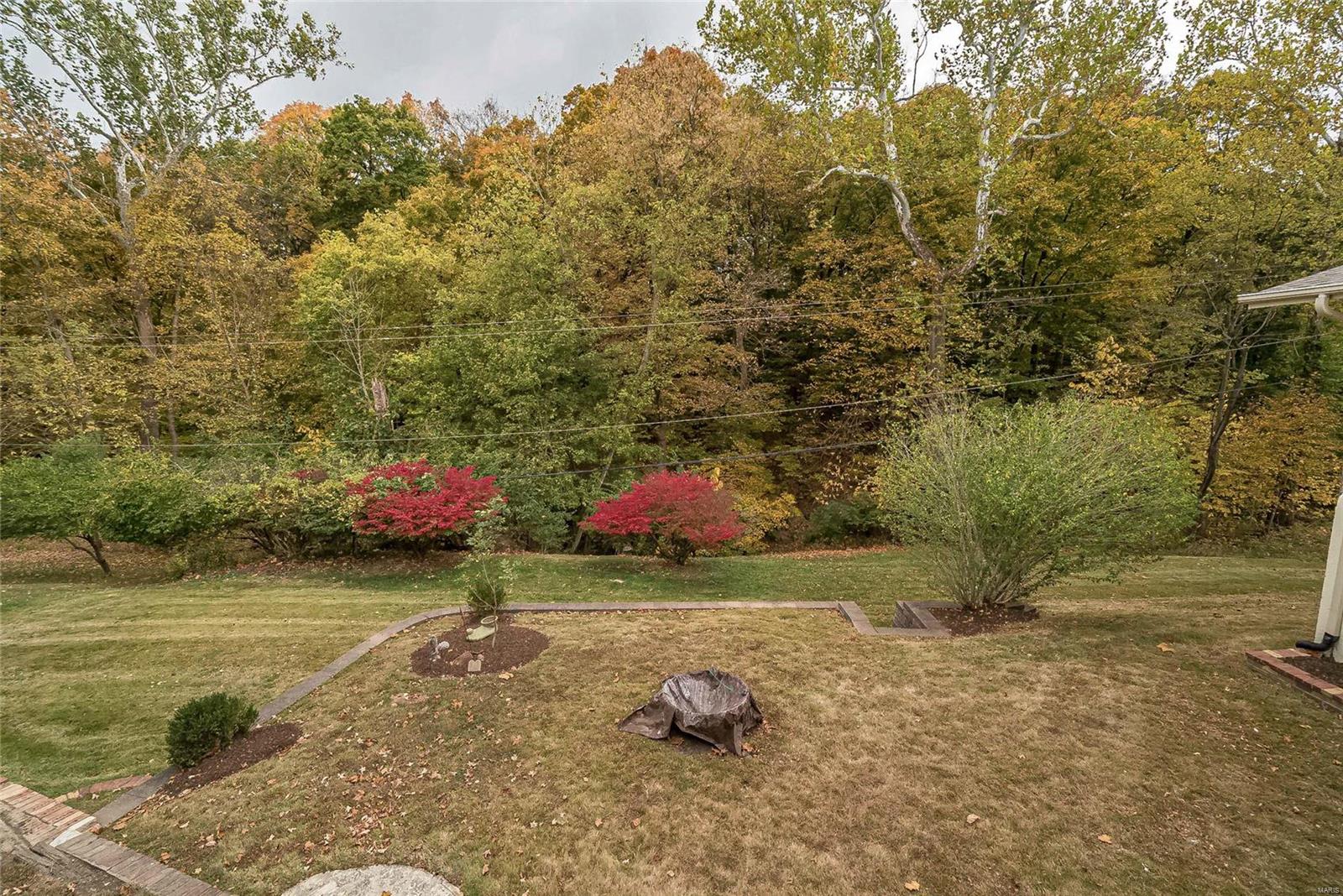 14492 Ladue Road Chesterfield, MO 63017 - Photo 43 of 50