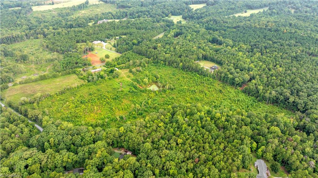 1874 Thayer Road Trinity, NC 27370 - Photo 2 of 50